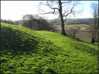 Archaeological earthwork at How Hill, North Yorkshire